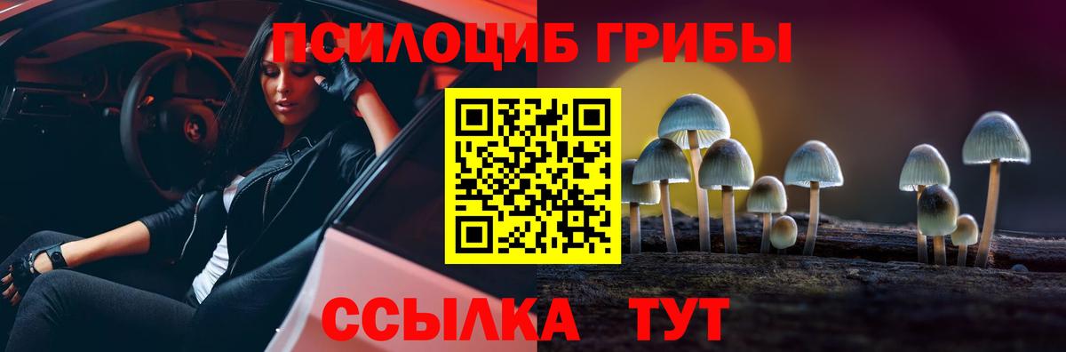 Галлюциногенные грибы Cubensis  Галлюциногенные грибы прущие грибы  Изобильный  Вход с VPN 
